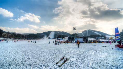 Yongpyong Ski Resort Review Korea Ski Asia