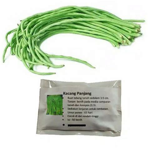 Jual Benih Kacang Panjang 50 Benih Shopee Indonesia