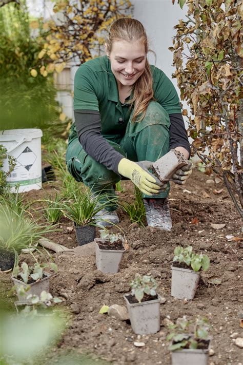 Verband Garten Landschafts Und Sportplatzbau Bayern E V