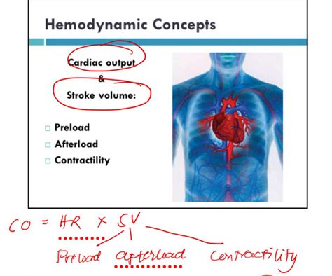 Hemodynamics Flashcards Quizlet