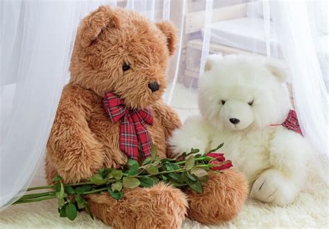 Premium Photo Brown And White Teddy Bear Sitting Together