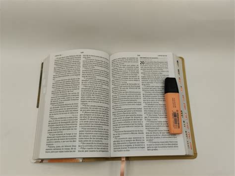 RVR 1960 Biblia Letra Grande Tamaño Manual multicolor símil piel con