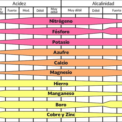 Pdf Uso Eficiente De Fertilizantes Granulados En MaÍz Y Frijol