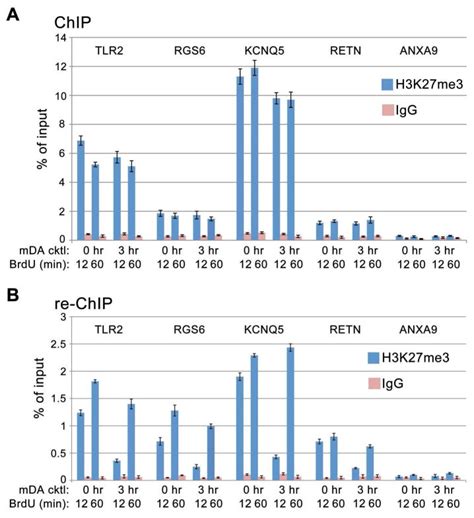 Delayed Accumulation Of H3k27me3 On Nascent Dna Is Essential For