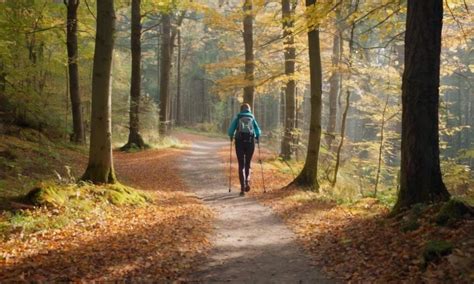 Jak się chodzi z kijkami nordic walking Bellissma Club