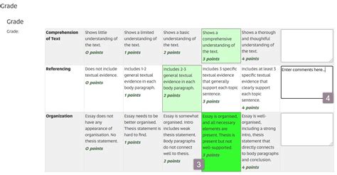 Marking Options Rubric