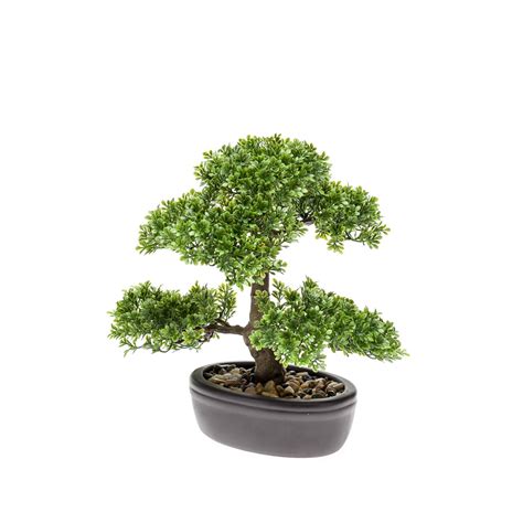 Bonsaïs Schilliger Sélection Bonsai Ficus artificiel coupe ovale brune