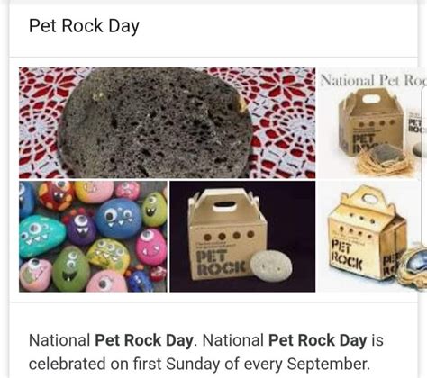 Pin By Ginnell Consulting On Rocks Pet Rocks Pet O Rock Day