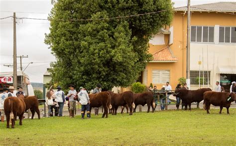 Ra A Bravon Estreia Na Expolages A Maior Feira Agropecu Ria De Santa