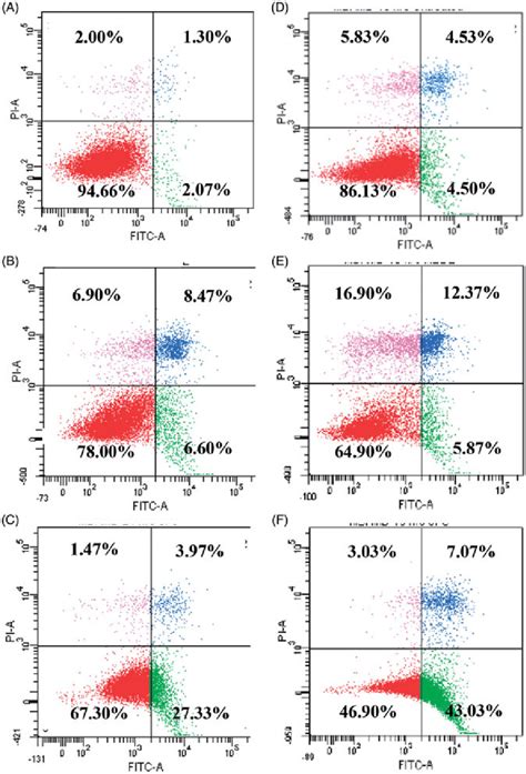 Contour Diagram Of Annexin Vpi Flow Cytometry A Untreated