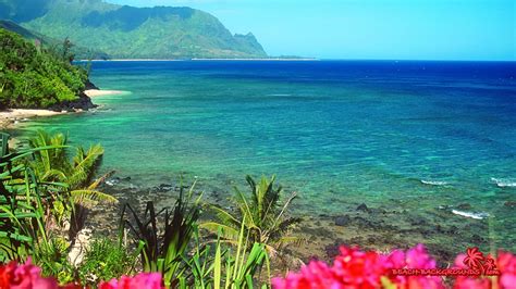 Hawaii Screensavers Wallpaper (56+ images)