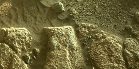 New Perseverance Photo Reveals Martian Rocks In Incredible Detail