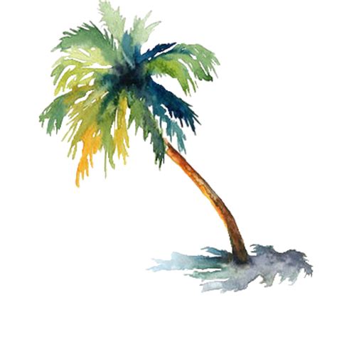 Palm Tree Watercolor Paintings At PaintingValley Explore