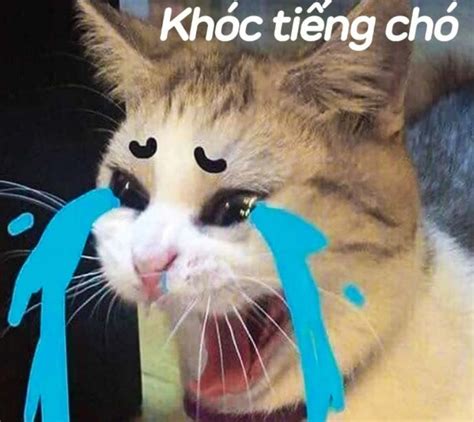 meme khoc cute khoc thet bua bieu cam hai huoc nhat