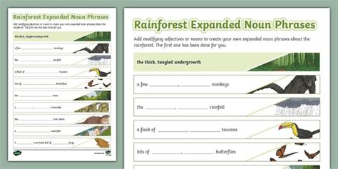 Rainforest Themed Expanded Noun Phrases Worksheet Twinkl