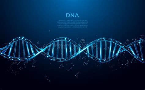 Struttura Chimica Della Molecola Del DNA 3D In Basso Poli Linea