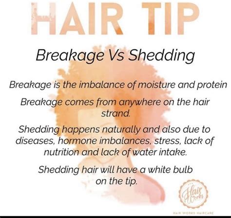 Breakage Vs Shedding