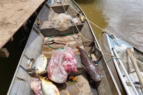 Pescador profissional é preso por pesca predatória no rio Miranda