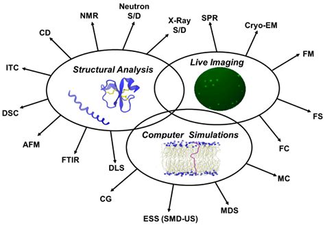 Biomolecules Free Full Text Membrane Active Peptides And Their