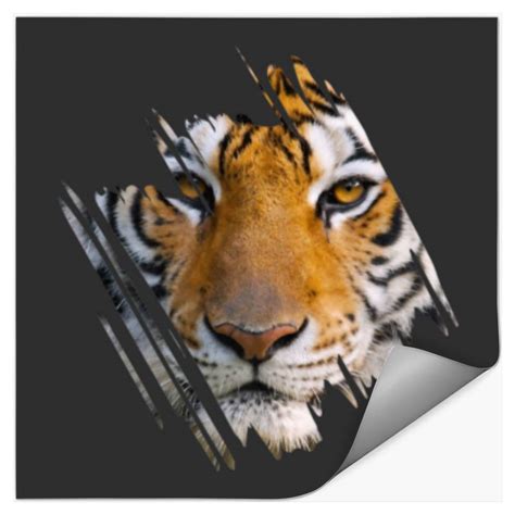 Cool Growling Angry Head Bengal Tiger Stickers Sold By Rafaesantos