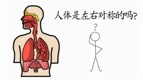 人体是左右对称的吗 腾讯视频