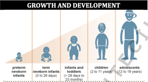 Pediatrics Growth And Development Flashcards Quizlet