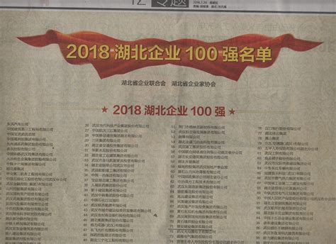 喜讯！公司荣获“2018湖北企业100强”楚安建设集团有限公司