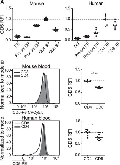 Regulation Of Cd5 Expression During Mouse And Human T‐cell Development