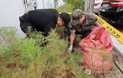 군부대 정부서울청사에 떨어진 북한 쓰레기 풍선 내용물 수거 연합뉴스