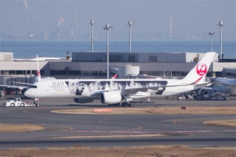 羽田空港、どんな空港？就航都市、フライト情報など、利用者ガイド Flyteamフライチーム