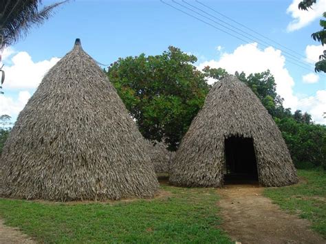 Ashaninkas Houses Indigenous Tribe That Live On The Brazilianperuvian Region Crafts