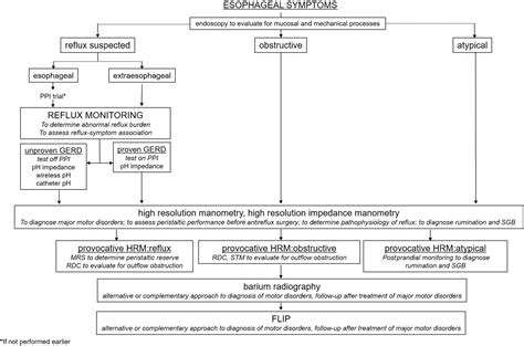 Acg Clinical Guidelines Clinical Use Of Esophageal Physiologic Testing