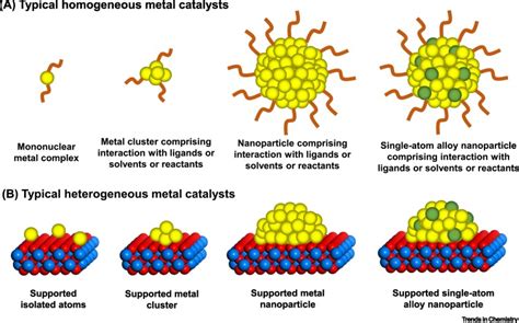 Evolution Of Isolated Atoms And Clusters In Catalysis Trends In Chemistry