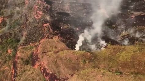 ¿cuál Es La Principal Causa Del Alarmante Aumento De Los Incendios En La Amazonía Brasileña