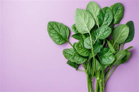 Premium Photo Spinach Leaves On Purple Background