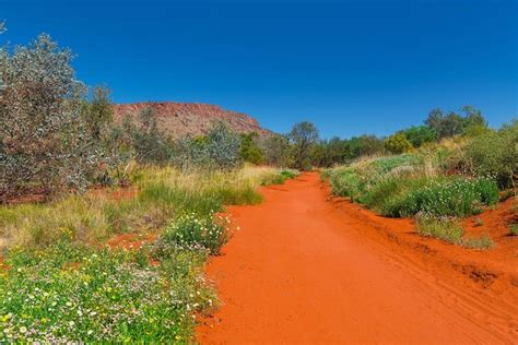 Alice Springs Desert Park General Entry Ticket 2024