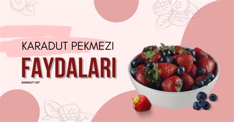 Karadut Pekmezinin Faydaları Nelerdir Güncel Lezzet Karadut net