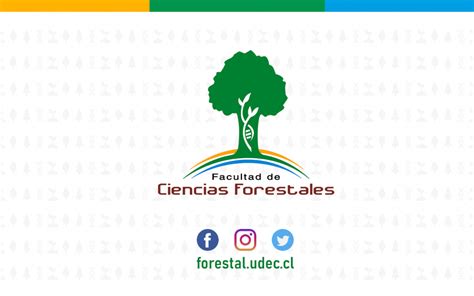 Formulario de Postulación Ayudantías Pregrado II Semestre 2020 Forestal