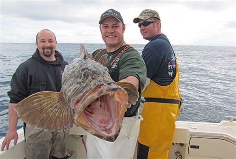 Chasing Washingtons Inshore Seabass Rockfish Bdoutdoors