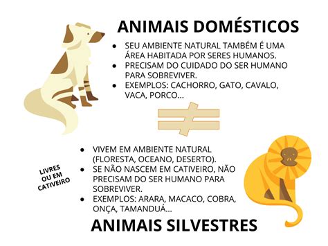 Jogo Da Memoria Animais Domesticos E Selvagens Para Imprimir