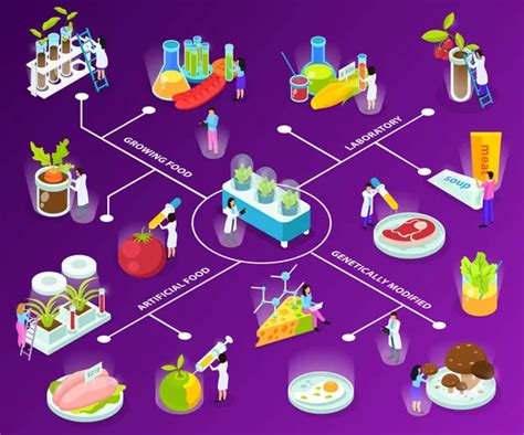 Gmo Isometric Flowchart Stock Vector By ©macrovector 151054972