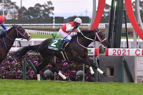 競馬初心者必見馬券予想🔥〜中日新聞杯〜昨年は3連単200万馬券が飛び出した荒れるレース！ ハムスターブログ🐹〜ハムハムしながら競馬と株を嗜む〜