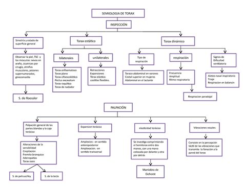 Semiologia De Torax Mapa Conceptual Semiolog A M Dica Semiologia The