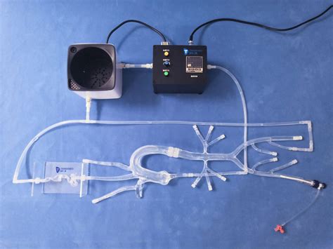 Modèle vasculaire intracrânien XXS011 Trando 3D Medical Technology