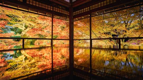 This Website Lets You Track Kyotos Autumn Leaves In Real Time