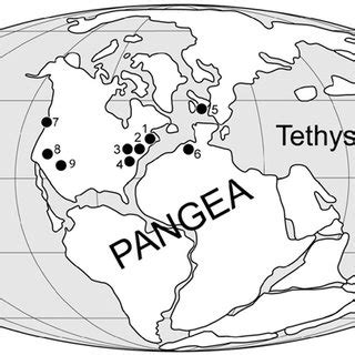 Simplified map of Late Triassic Pangea showing locations of key... | Download Scientific Diagram