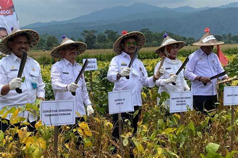 Semoga Bisa Berkelanjutan Dan Jadi Solusi Selama Ini Mentan Kembangkan