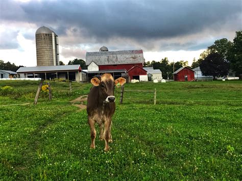 Sunset View Creamery