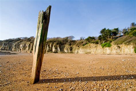 Pett 003 Andy Wilson Flickr