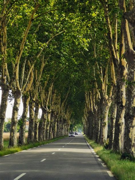 Les petites routes à la Française claude HERRADA Flickr